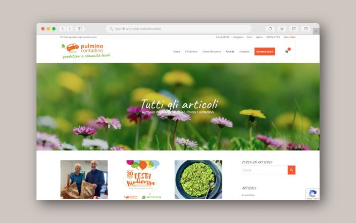 Articoli sul sito del Pulmino Contadino Branding identity, Logo design, Visual design, Web design - Greta Beneforti